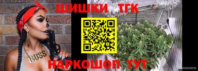 jwh Бердск