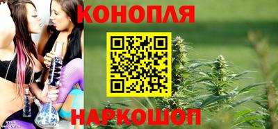 jwh Бердск