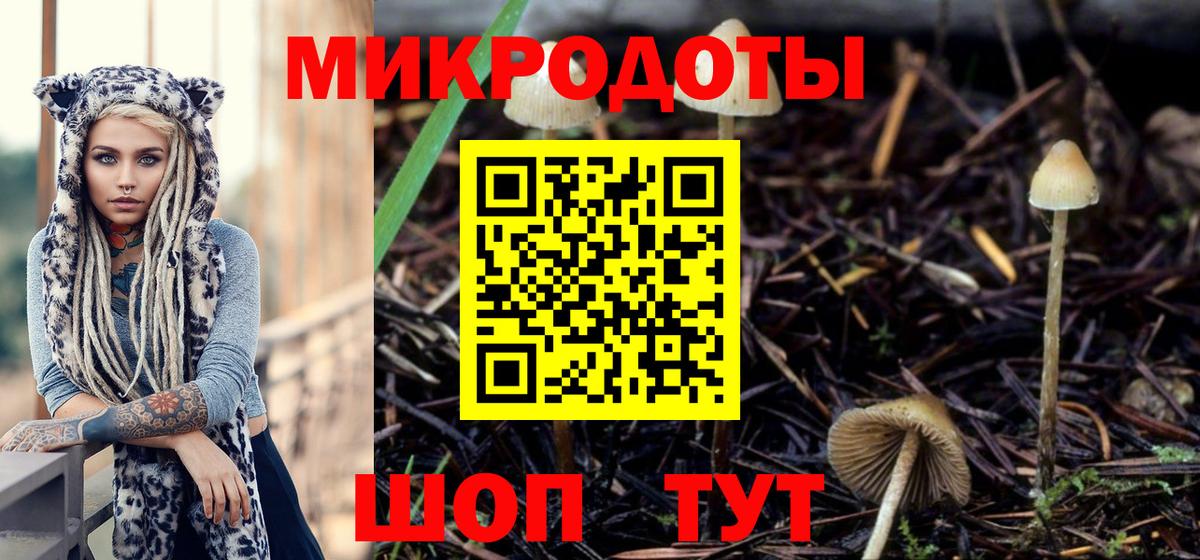 Псилоцибиновые грибы MAGIC MUSHROOMS Великий Новгород