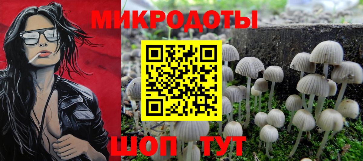 Великий Новгород  Псилоцибиновые грибы мухоморы  Вход с VPN  Псилоцибиновые грибы мухоморы 